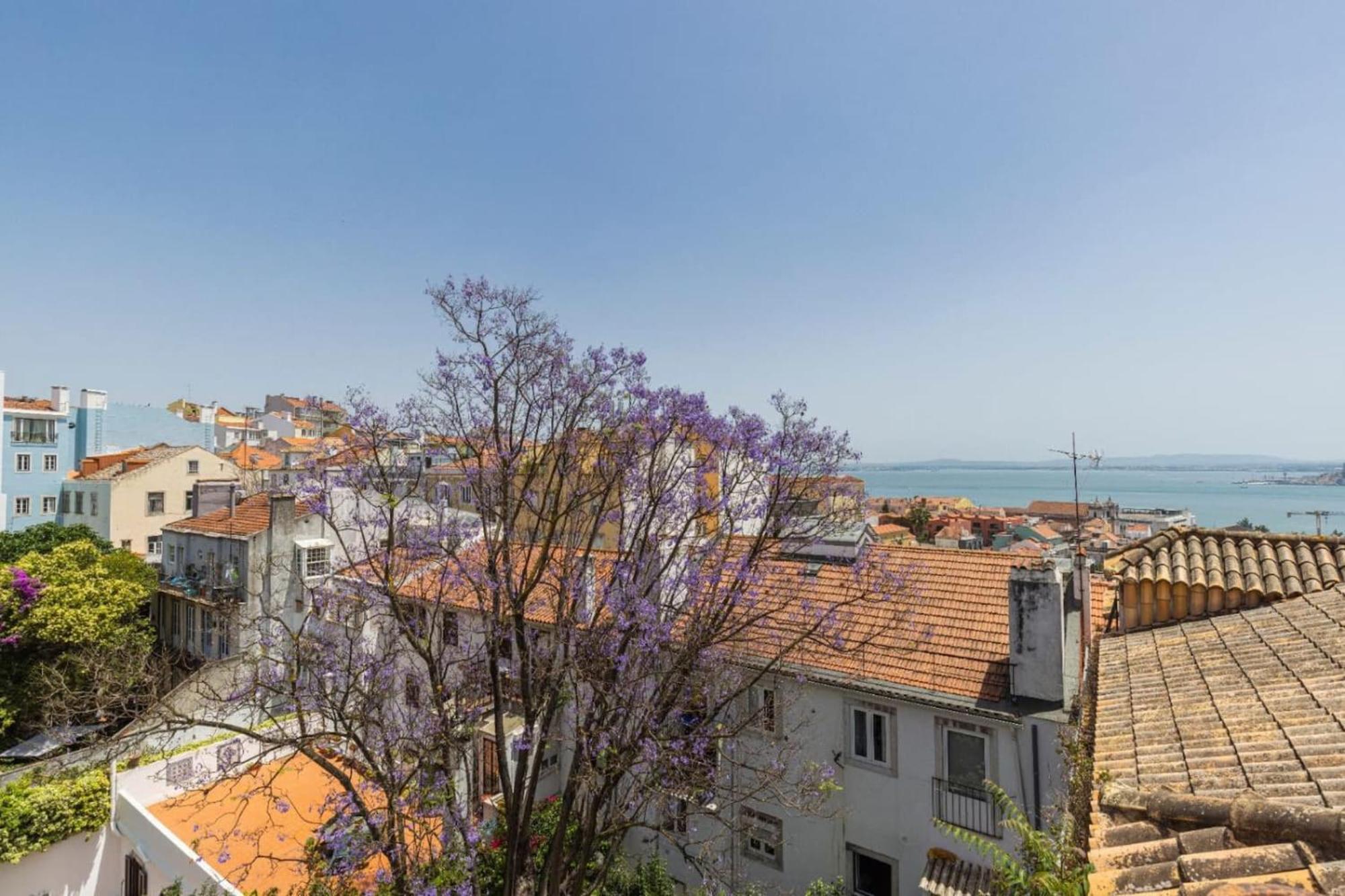 Joao Da Mata Amazing Views By Innkeeper Lisboa Exteriör bild